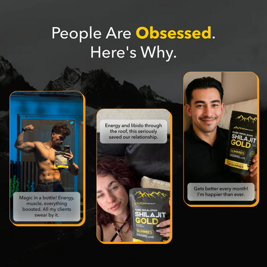 Pure Shilajit Gummies - 6-in-1 Support